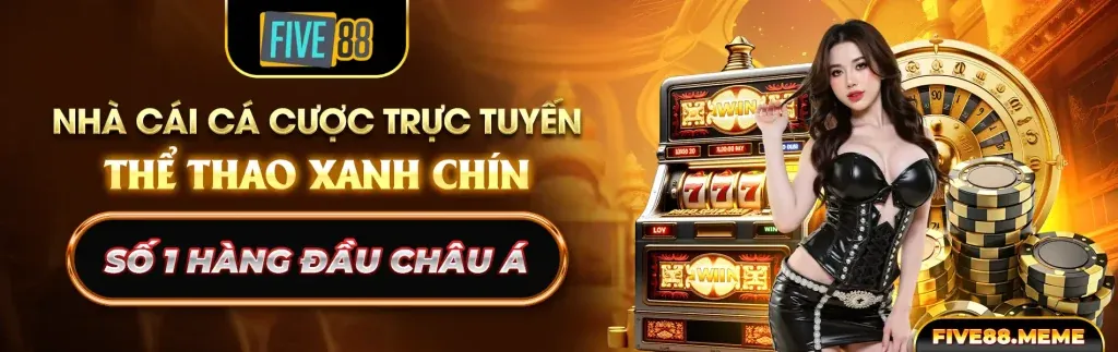 Trải nghiệm w688 sau đăng ký